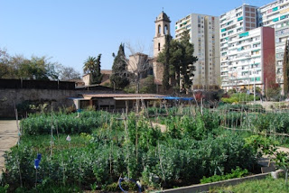QUIMARTE LOS HUERTOS DE SANT MARTÍ DE PROVENÇALS