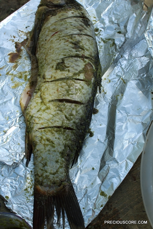 HOW TO GRILL A BIG FISH | Precious Core