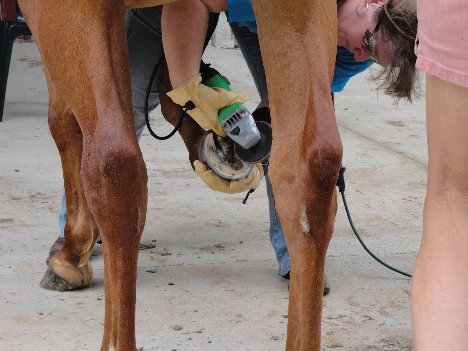 Mustang Dreams.... Trimming hooves with an angle grinder...