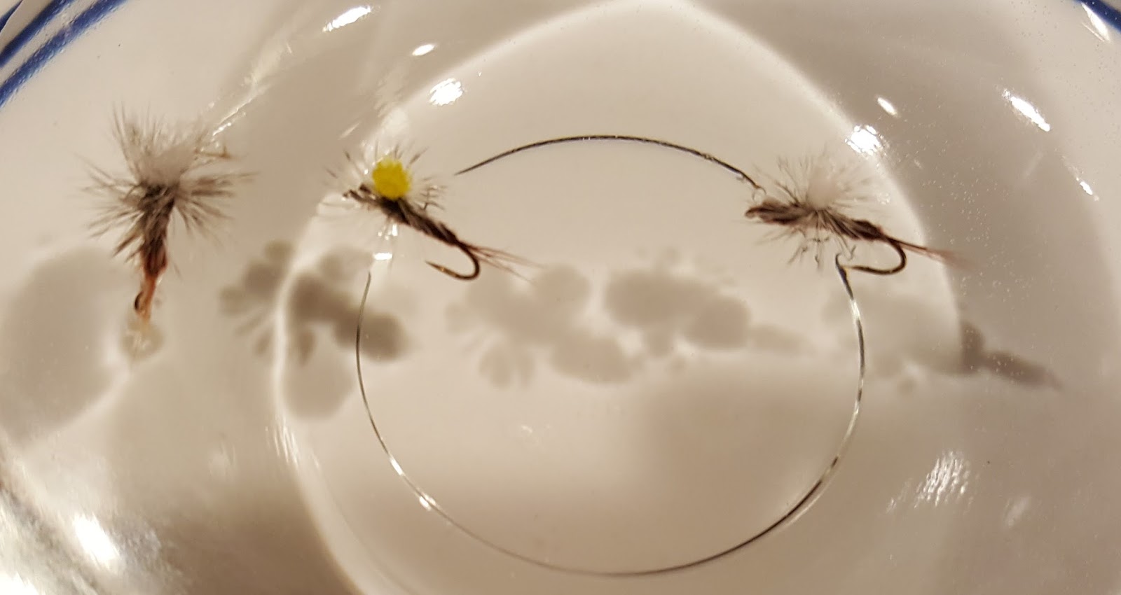 Novice Fly Fisherman Central Virginia Small Fish, Big Tales RainX