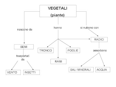 Mappe Scienze I 5 Regni Piante Suddivisione Citologia Vegetale