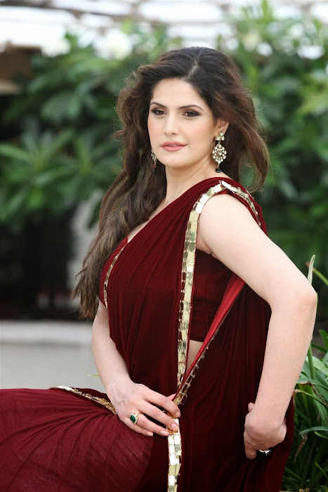 zarine khan glamorous in saree hot photoshoot
