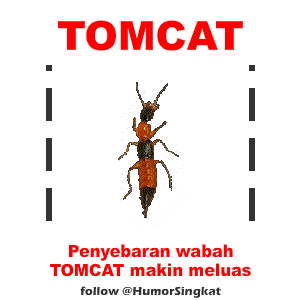 Animasi serangga TOMCAT bergerak DP BBM Lucu Gambar Animasi serangga TOMCAT bergerak DP BBM Lucu Gambar