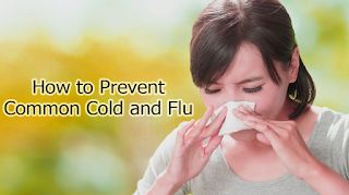 How to Prevent Common Cold and Flu