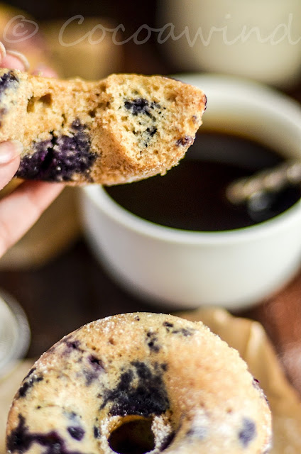 Baked Wholewheat Blueberry Donuts