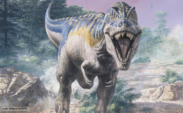 Kretase - Tersiyer Kitlesel Yok Oluşu'nda Telef Olmuş: Tyranno Rex! Kretase - Tersiyer Kitlesel Yok Oluşu'nda Telef Olmuş: Tyranno Rex!