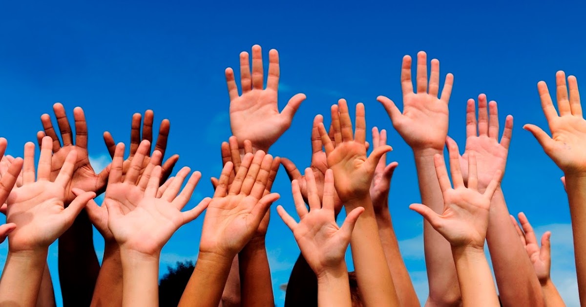 Greater Toledo's Mama Meow Volunteer Opportunities for Toledo Teens