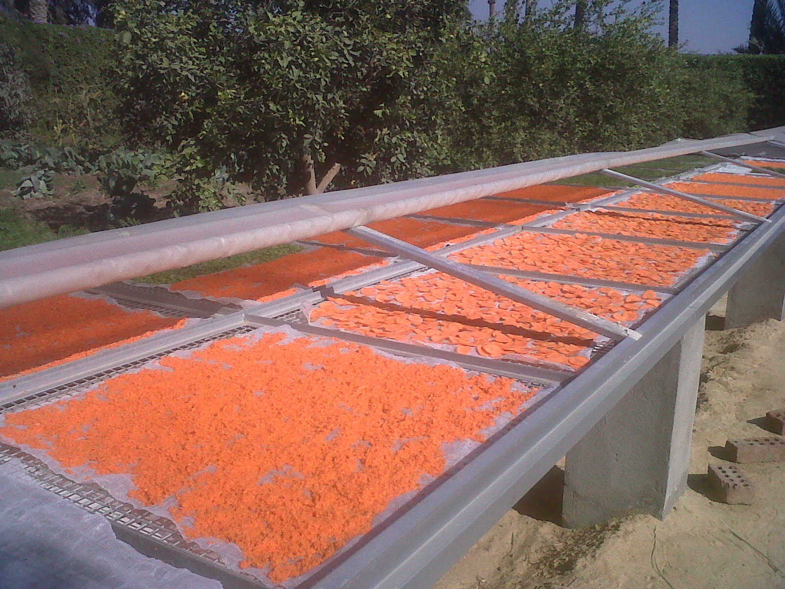 Cut and Dried... Minnie's Dried Fruits & Vegetables April 2014