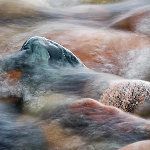 Miriana Mitrovich | Bulgarian-born Canadian photographer Miriana Mitrovich | Bulgarian-born Canadian photographer