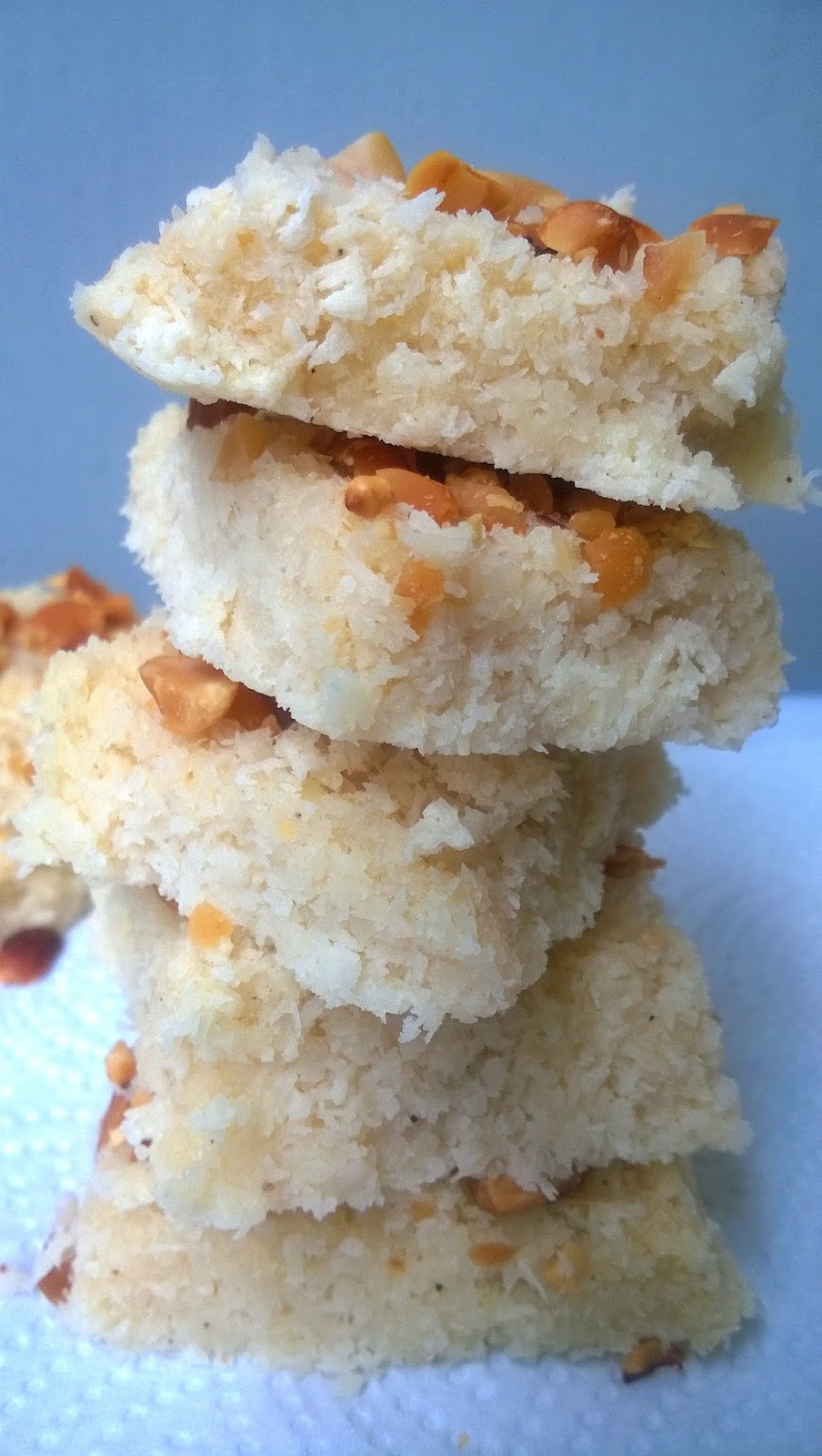 CONDENSED MILK COCONUT BURFI