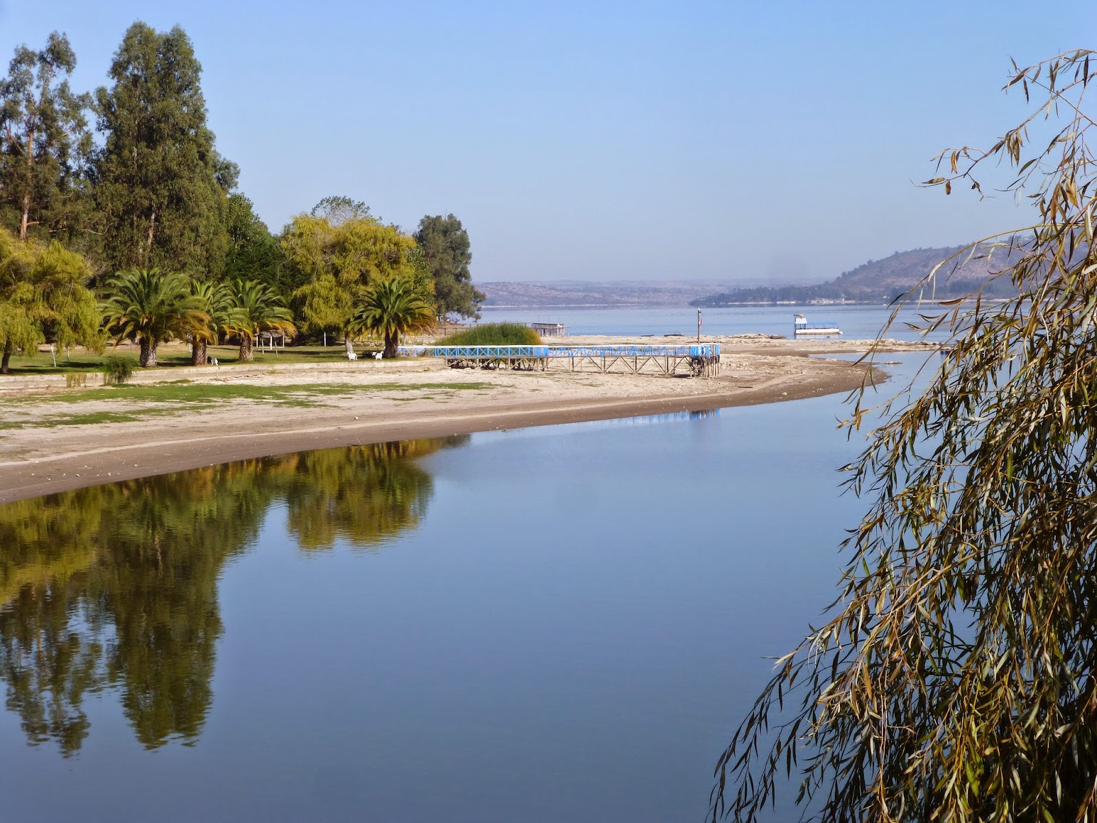 hähnchenknochen_hund — Mein Leben mit Hund