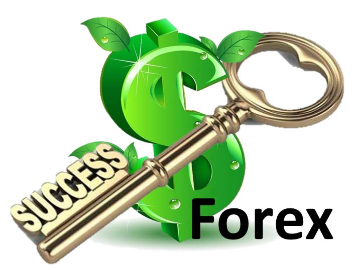 Trader forex sukses