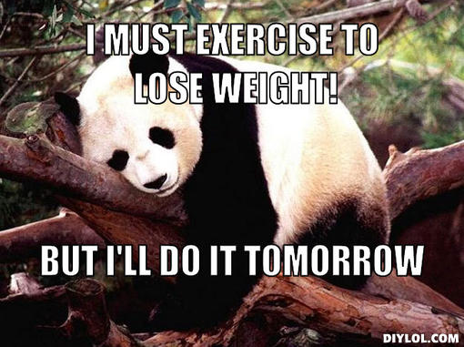 no+motivation+panda.jpg