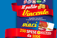 Eroi di Casa ''Il pulito vincente'' vinci 250 card Conad da 100€ Logo Eroi di Casa ''Il pulito vincente'' vinci 250 card Conad da 100€