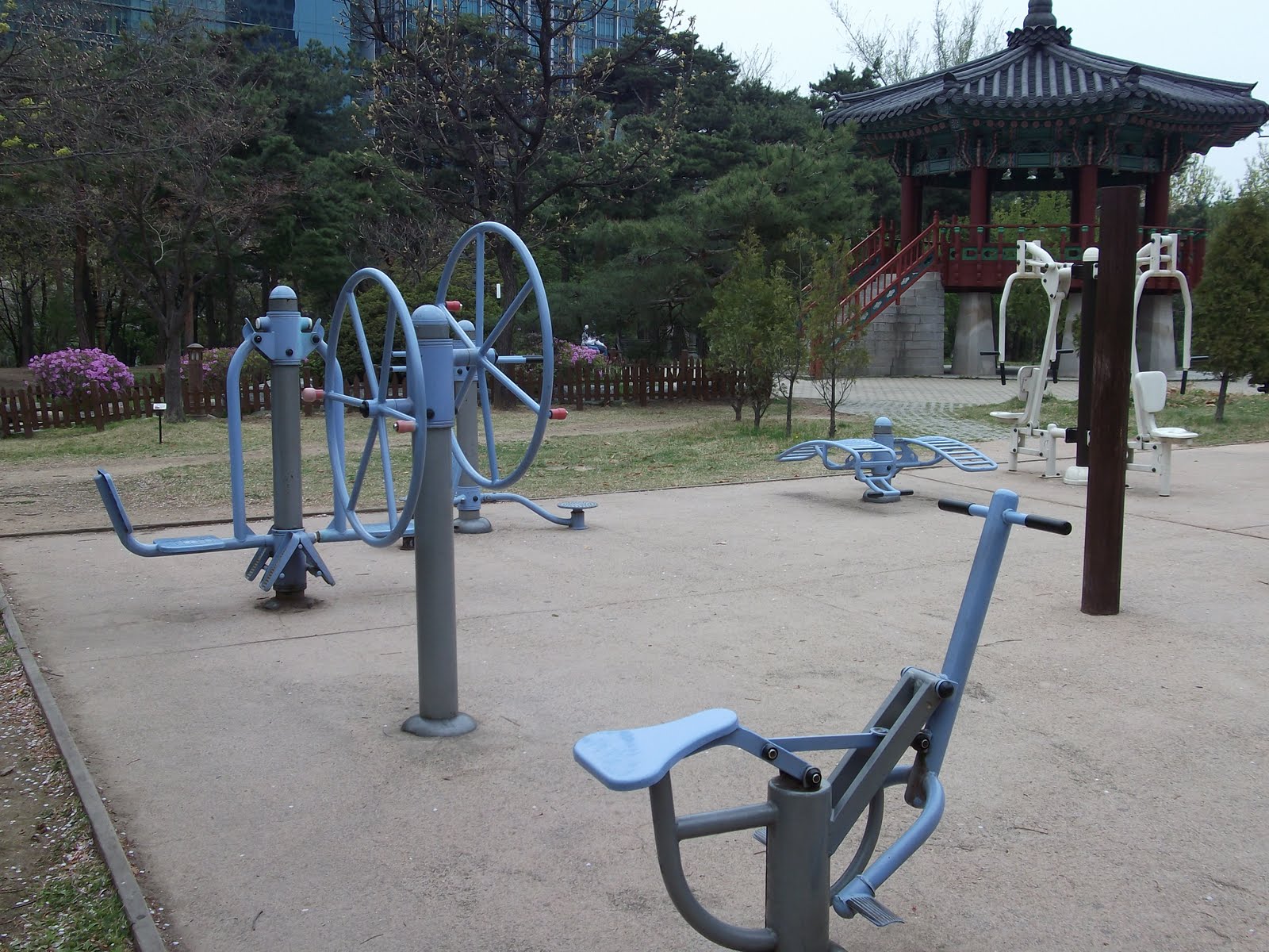 Karori to Korea Korea is Awesome = Outdoor Gyms