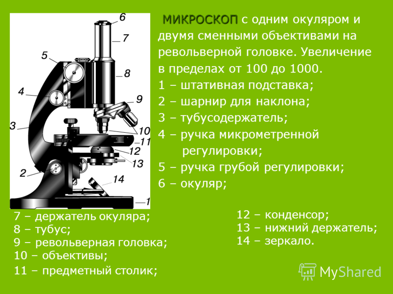 Анализ произведения микроскоп. Окуляр микроскопа строение микроскопа. Строение микроскопа окуляр функция. Строение микроскопа тубусодержатель. Строение микроскопа с двумя окулярами.