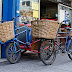 PERSONAL MASCULINO PARA REPARTO EN BICI Y LIMPIEZA PANADERÍA.