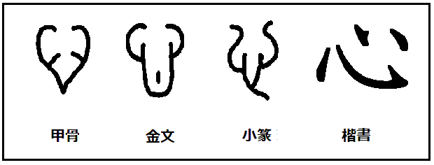 漢字考古学の道 漢字の由来と成り立ちを考古学の視点から捉える 漢字 心 の起源と成り立ち 心臓をそのまま形をにした象形文字