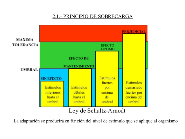 principios del entrenamiento deportivo grosser