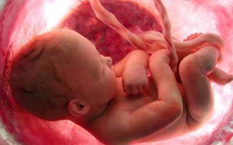 Inilah Keutamaan Hikmah Dibalik Keguguran dan Kematian Anak Inilah Keutamaan Hikmah Dibalik Keguguran dan Kematian Anak