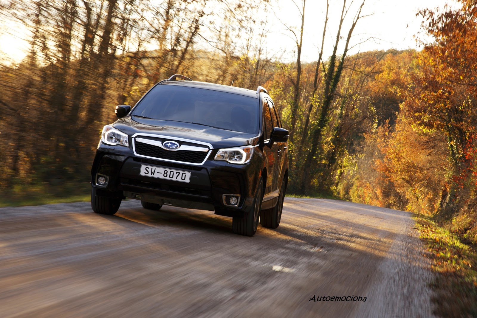 Ganador subaru forester