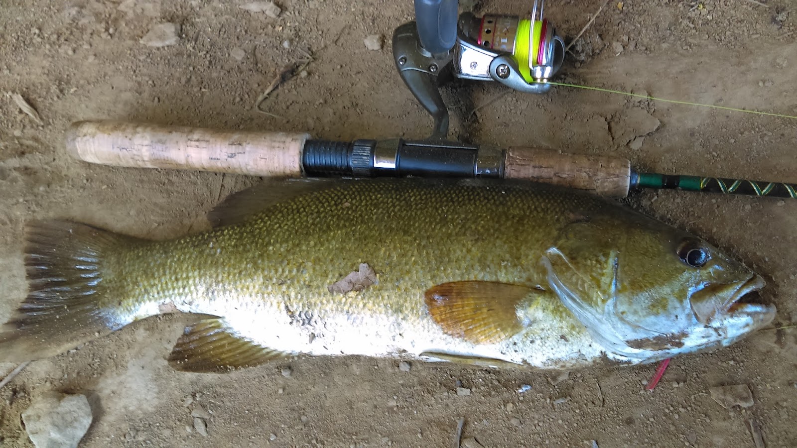 Pittsburgh Fishing and Outdoor Adventure Gallery