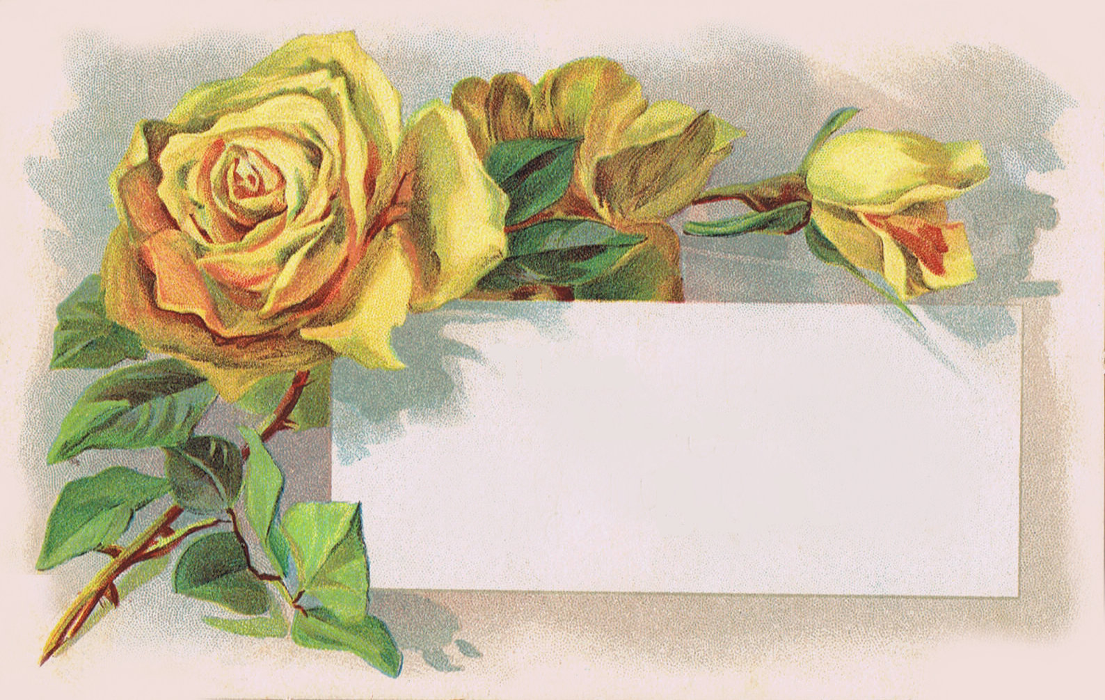 Yellow And Red Flowers Bouquet