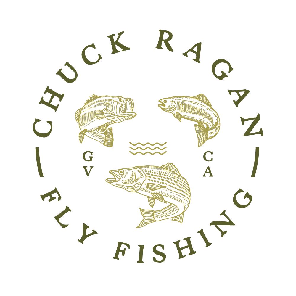 Chuck Ragan Youtube Chuck Ragan Youtube