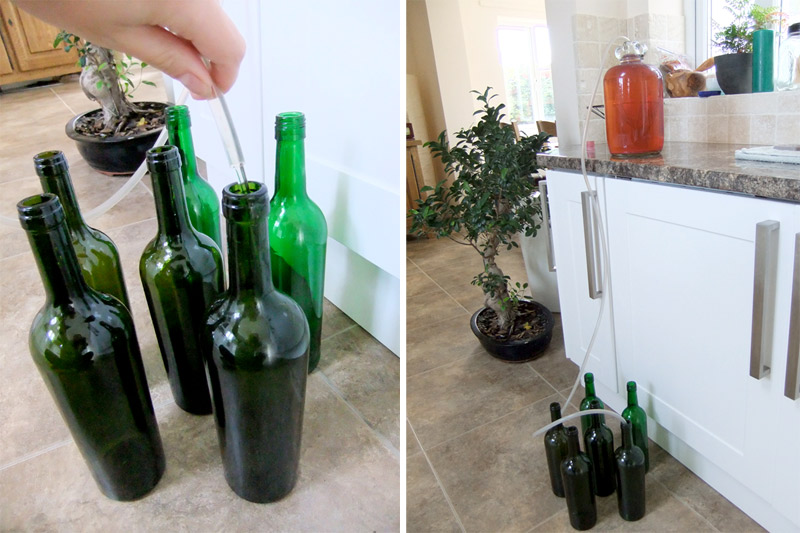 Wine Bottling...and Melon and Ginger Wine — Lovely Greens