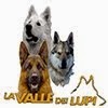 La Valle dei Lupi logo social Network