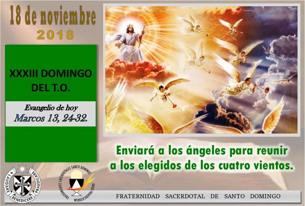 Pastoral Creciendo en el Amor Lecturas del Domingo 33º del Tiempo