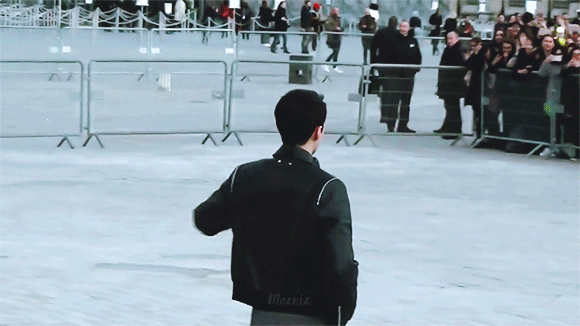 5.gif