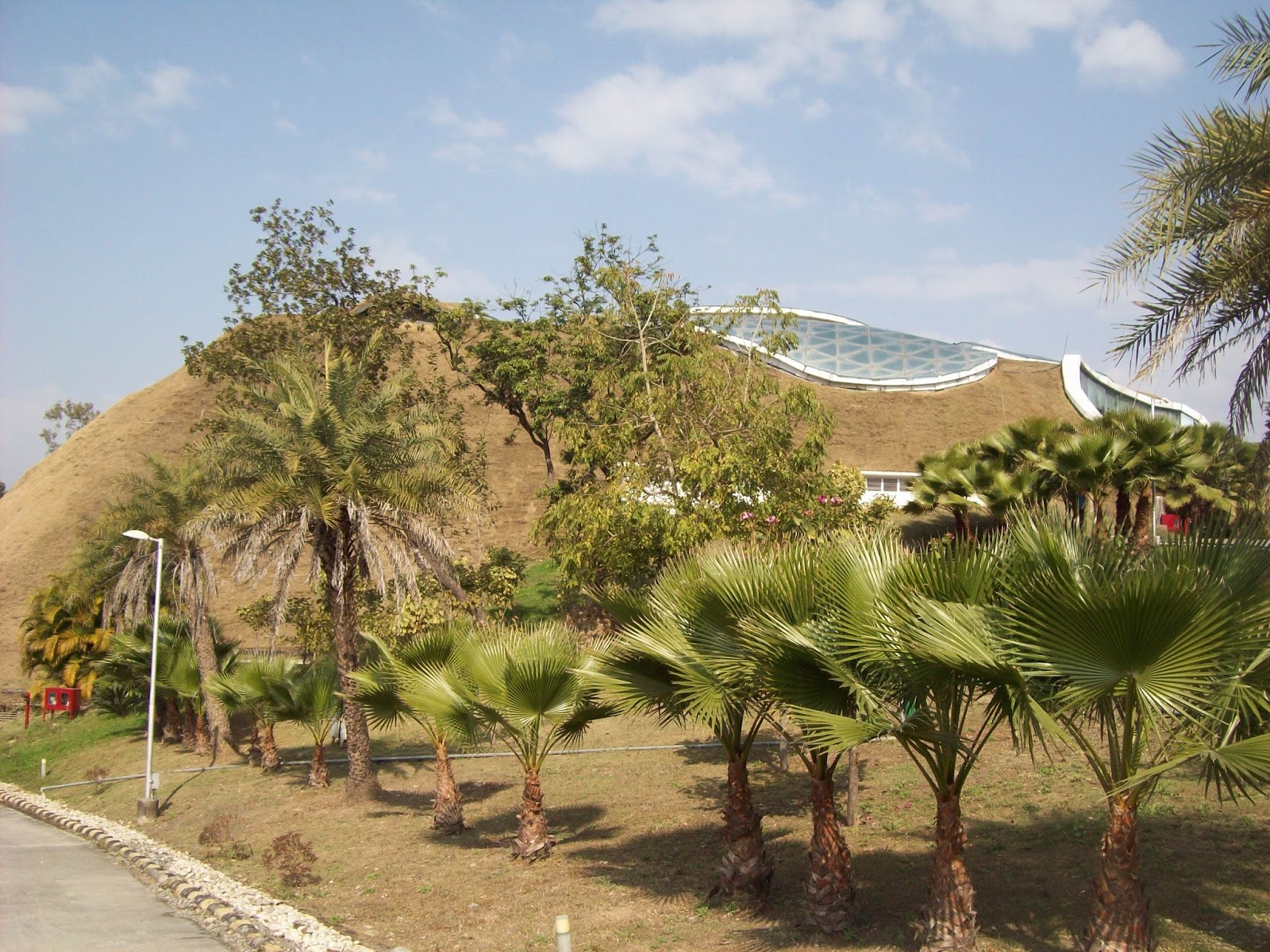 CHINAR SHADE "GREEN HILLS ' A WONDER CREATED BY ONGC AT ITS DEHRADUN