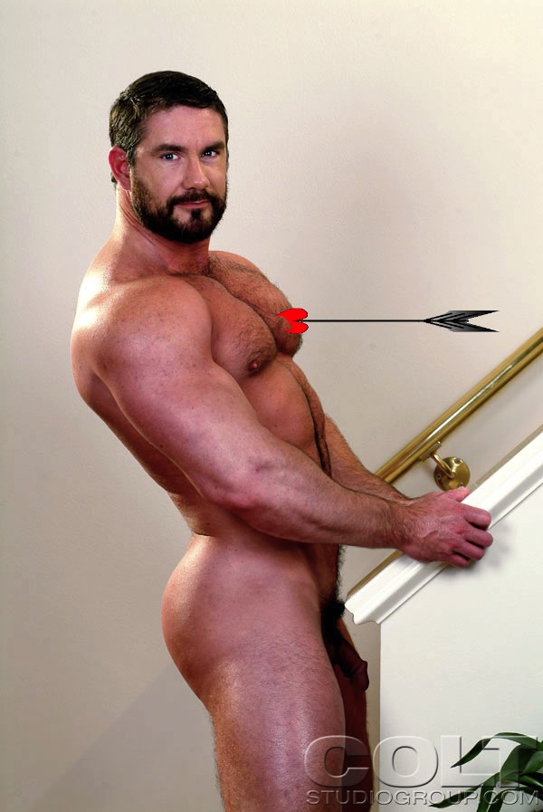 cupid gay hot muscled gay fuckers