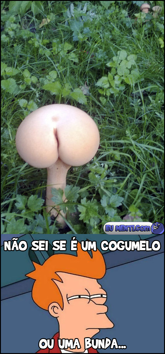 COGUNDA.jpg