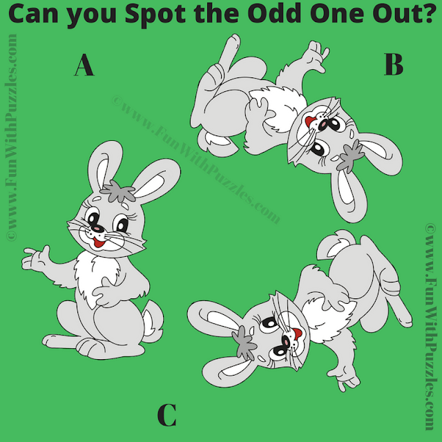 This is the Picture Riddle Brain Teaser in which one has to find the Odd One Out Picture