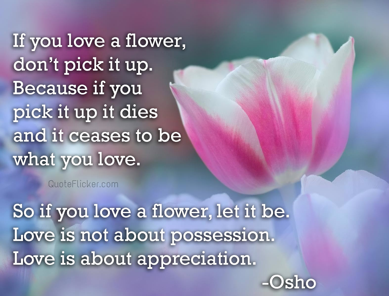 So if you love a flower let it be Love is not about possession Love is about appreciation