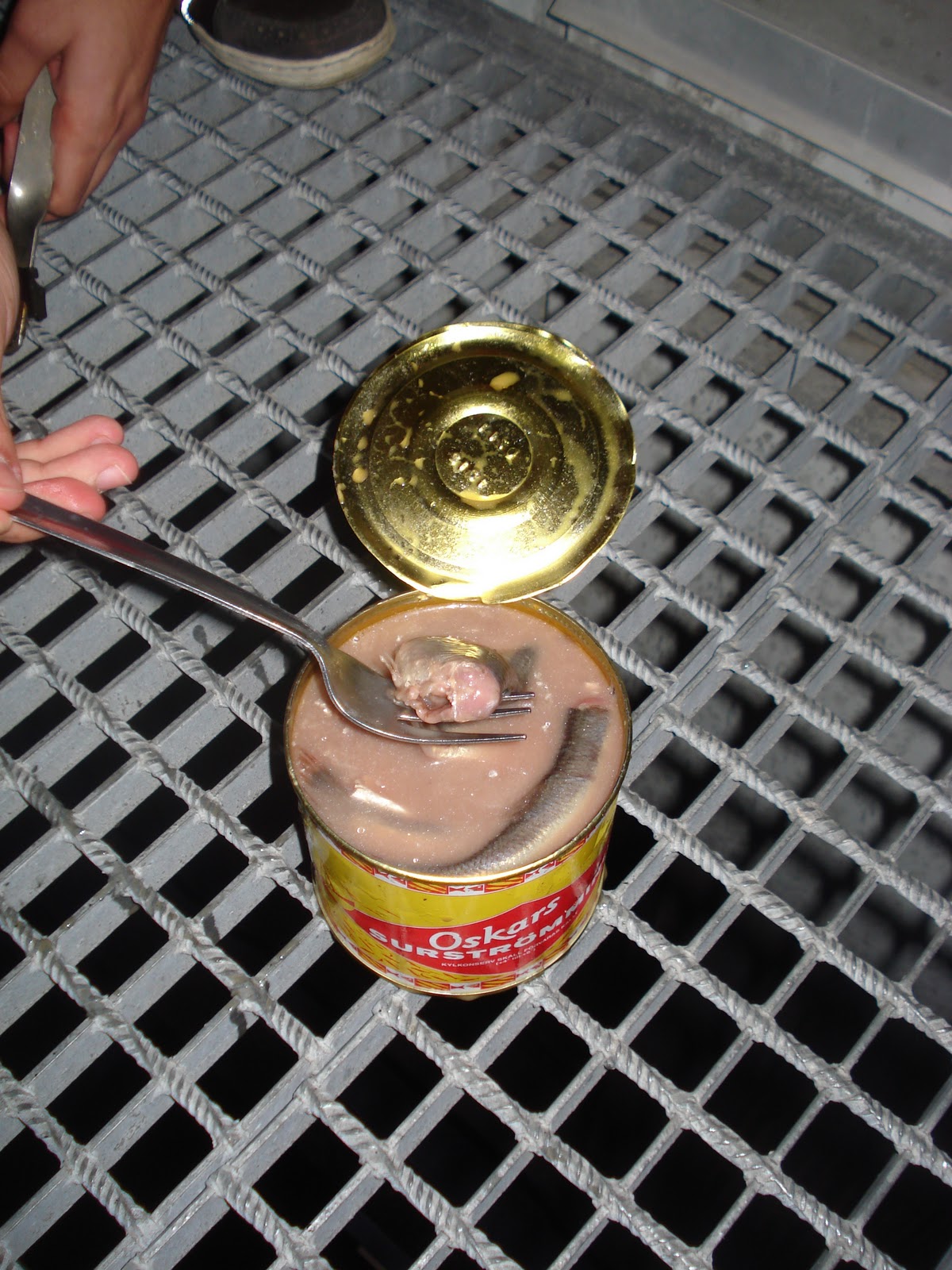 Surströmming Essen Surstromming Essen Das Sollten Sie Beachten Focus