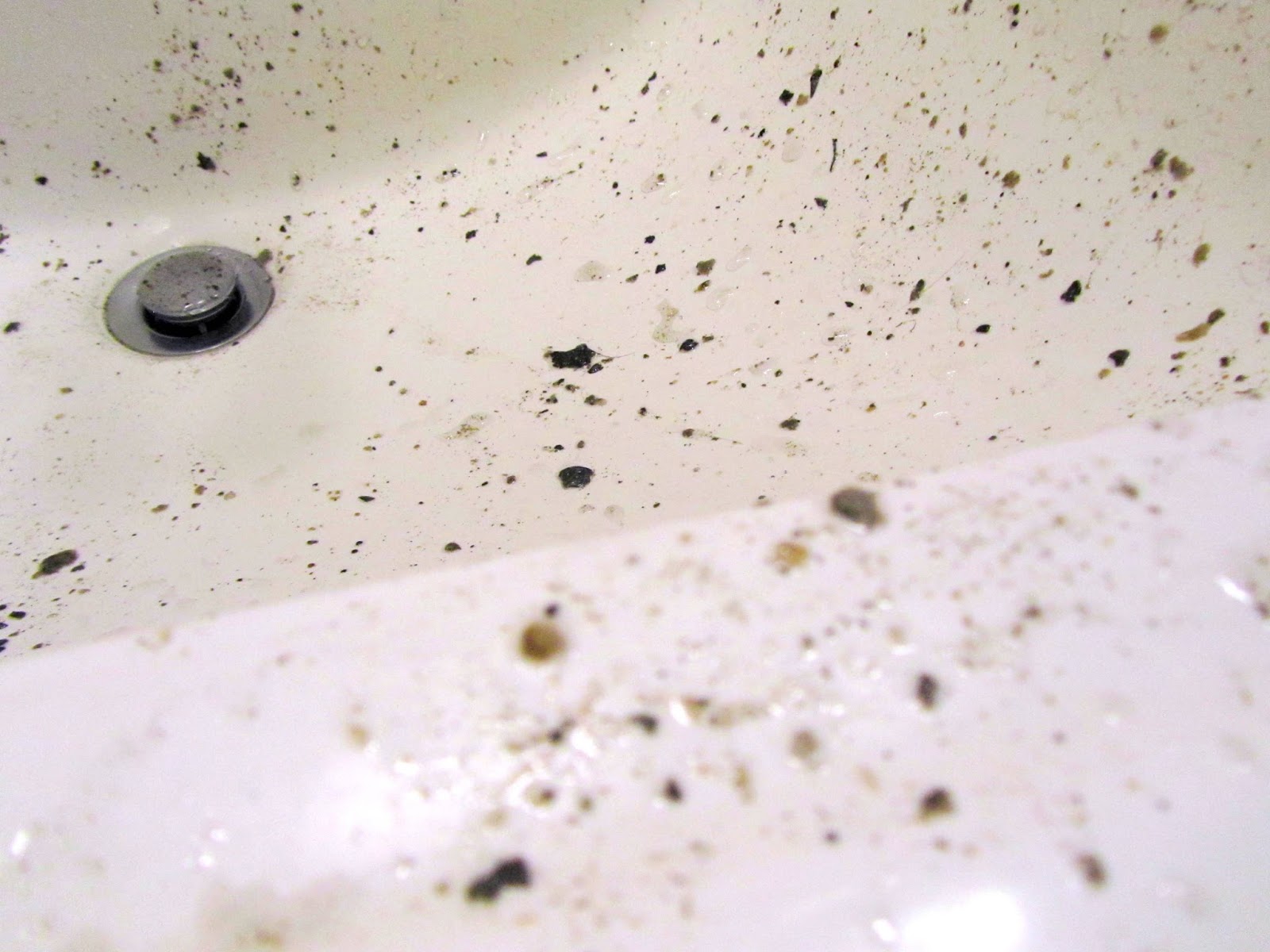 Keeping Focused Clogged Utility/Bathroom Sink Drains