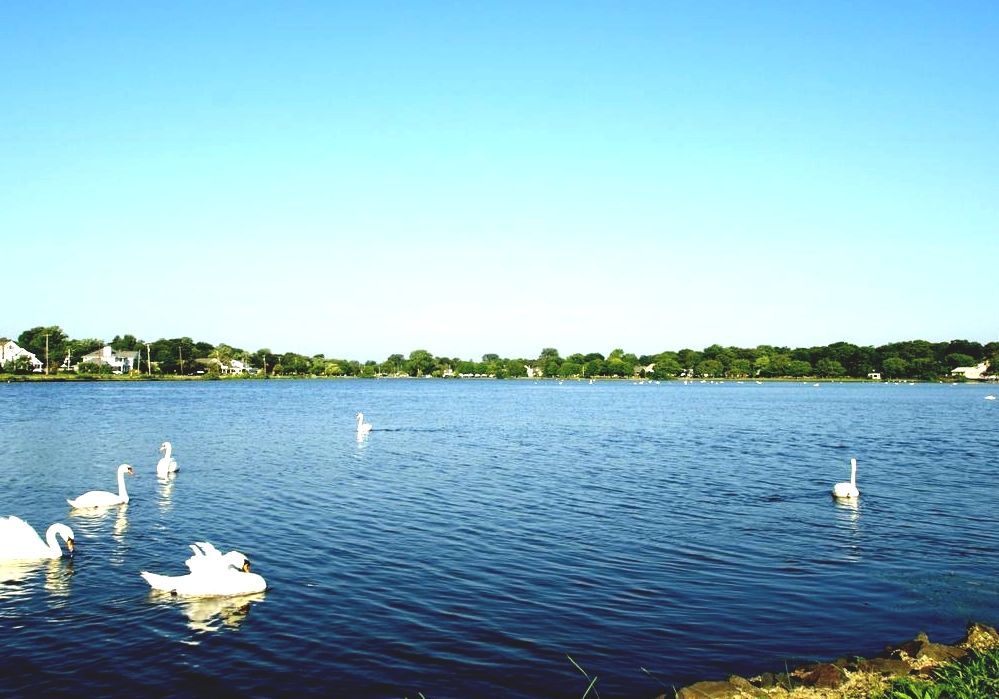 Lake Como, New Jersey Belmar Lake Nj