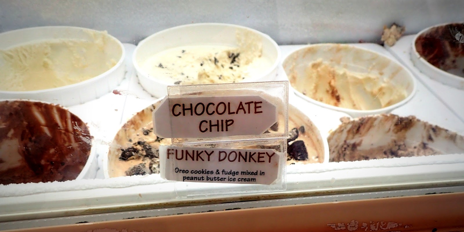 The Obligatory Blog We Eat A Lot of Ice CreamColorado Edition