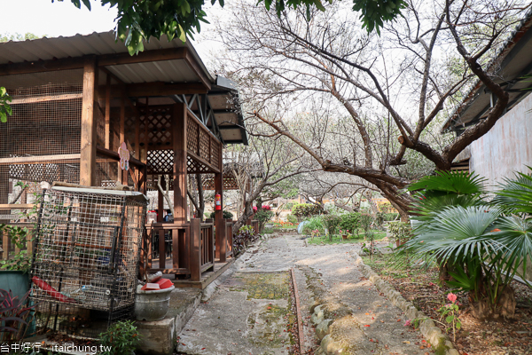 新社梅林親水岸賞梅花好去處,還有民宿和露營區,親子同遊也適合 新社梅林親水岸賞梅花好去處,還有民宿和露營區,親子同遊也適合