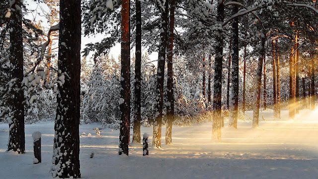 Pictures: 40 Impressive Winter Wallpapers | Amazing, Funny, Beautiful