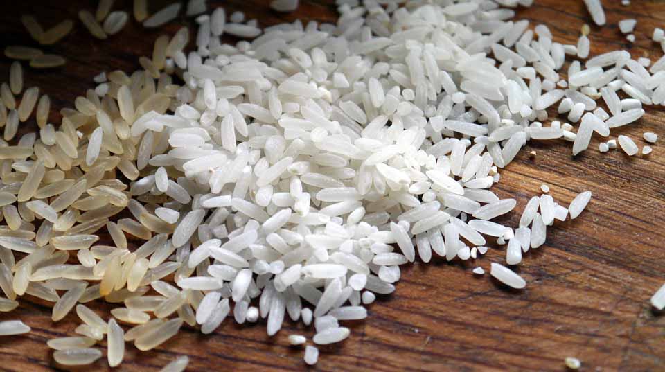 krisis beras riau krisis beras riau