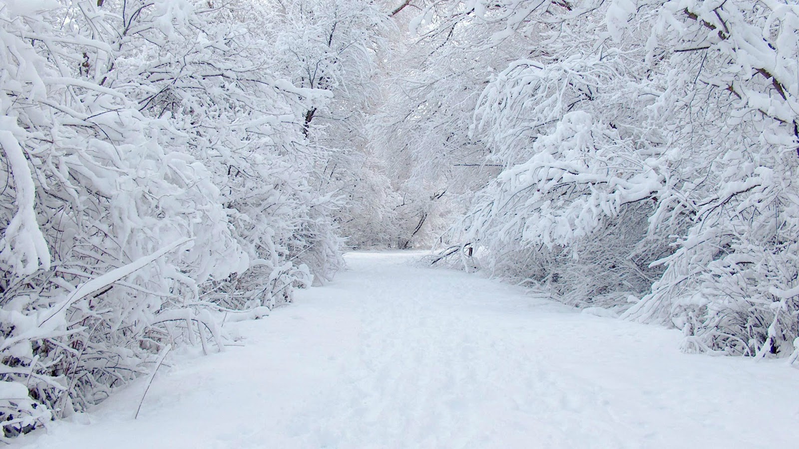winter wallpapers winter