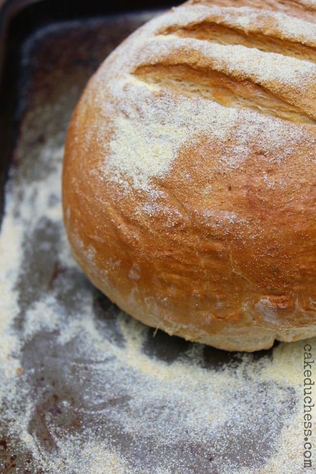 Broiled White Free-Form Loaf Broiled White Free-Form Loaf