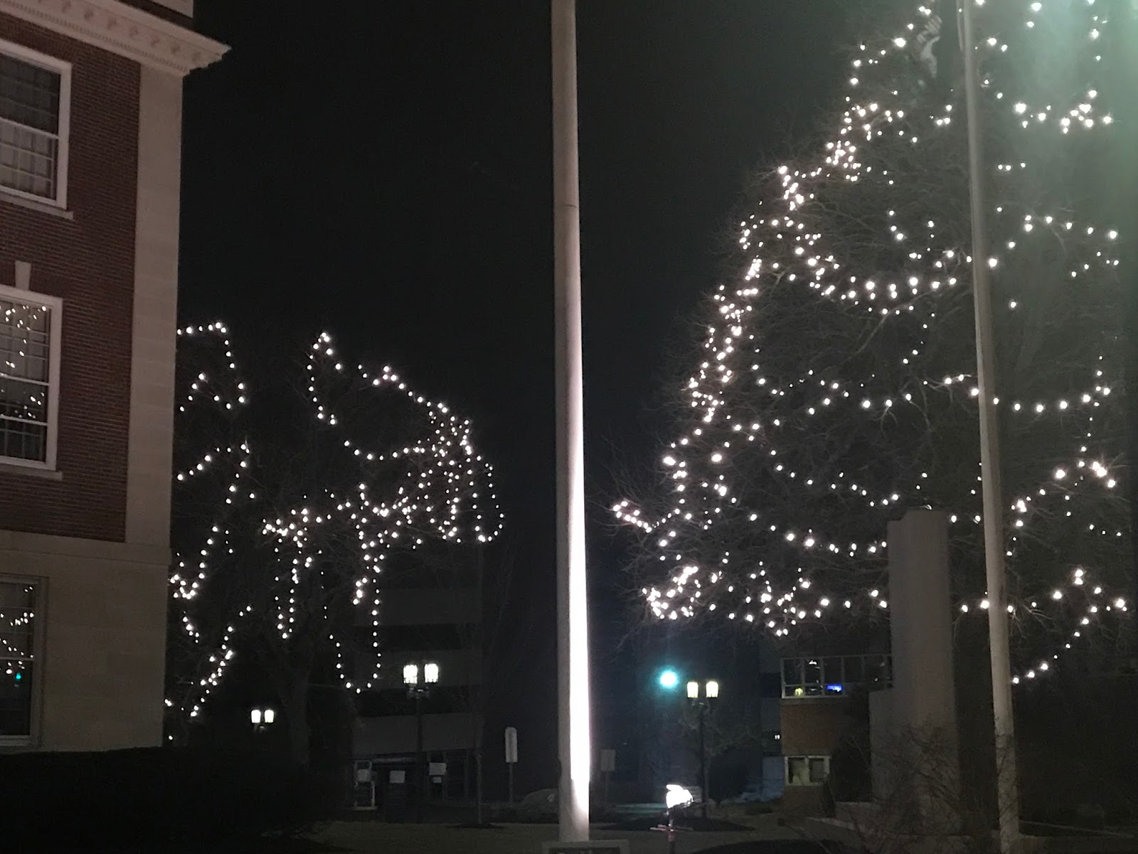 Christmas Lights STILL UP 22218 (photos from 22118) MEDFORD