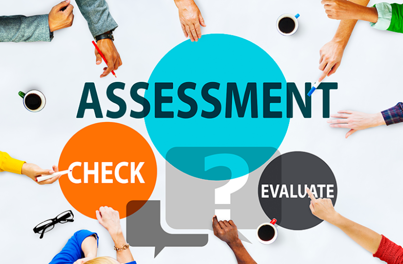 assess assignment