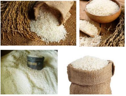 Produsen - Supplier Beras di Indramayu Jawa Barat - Daftar Alamat Telepon