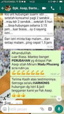 Madu Kuat Tahan lama PHUCENG Tenaga Pria Naik Berlipat Madu Kuat Tahan lama PHUCENG Tenaga Pria Naik Berlipat